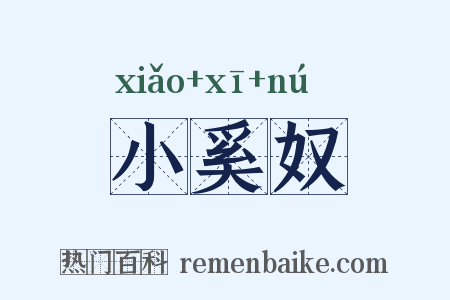 小奚奴是什么意思的图片